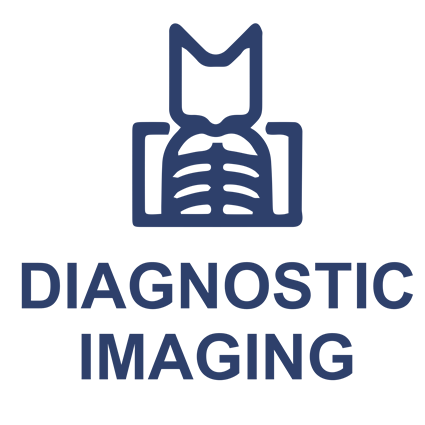 diagnostic