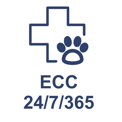 ecc