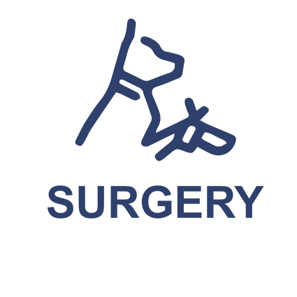 surgery